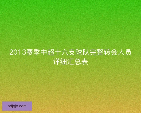2013赛季中超十六支球队完整转会人员详细汇总表