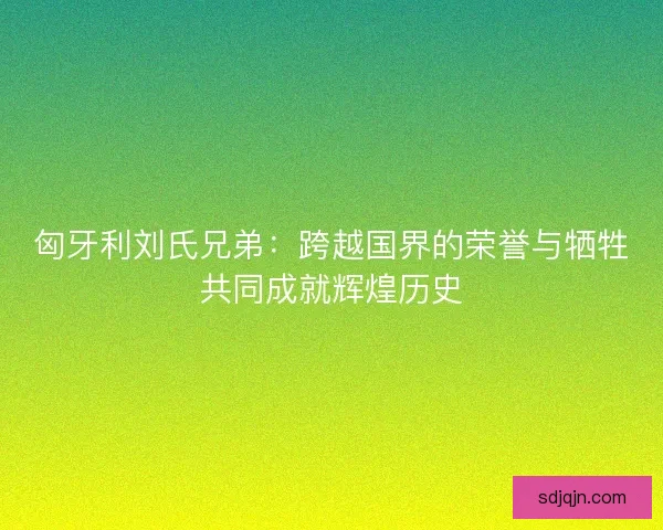 匈牙利刘氏兄弟：跨越国界的荣誉与牺牲共同成就辉煌历史